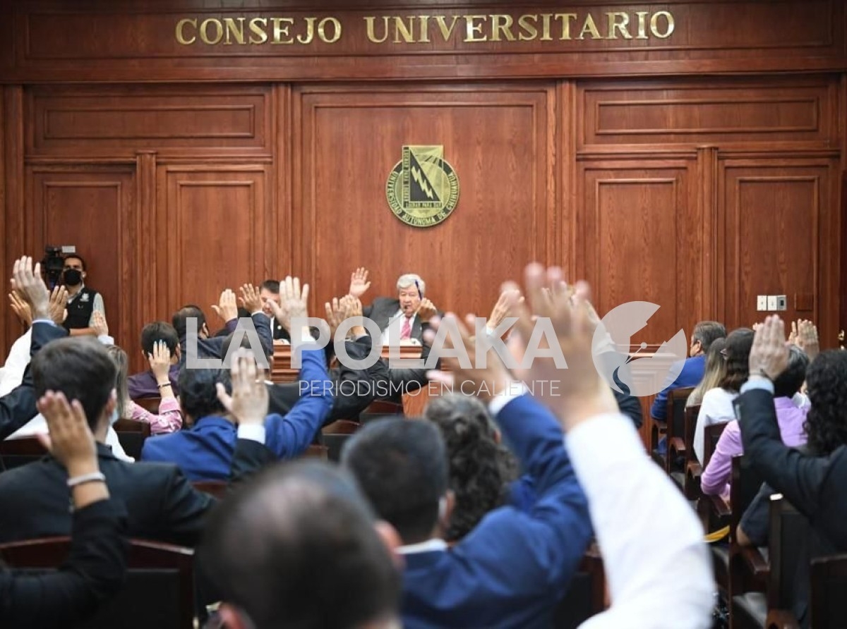 Patatús en el Campus